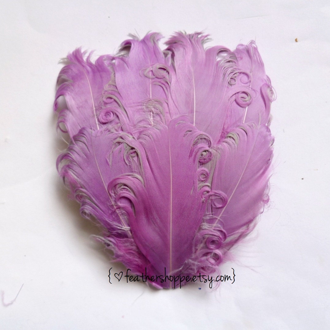 1 Lilac on Grey Curled Goose Feather Pad