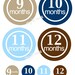 IRON ONS - Decal - 12 Monthly onesie iron on heat transfers - for Baby boys - blue, brown & tan