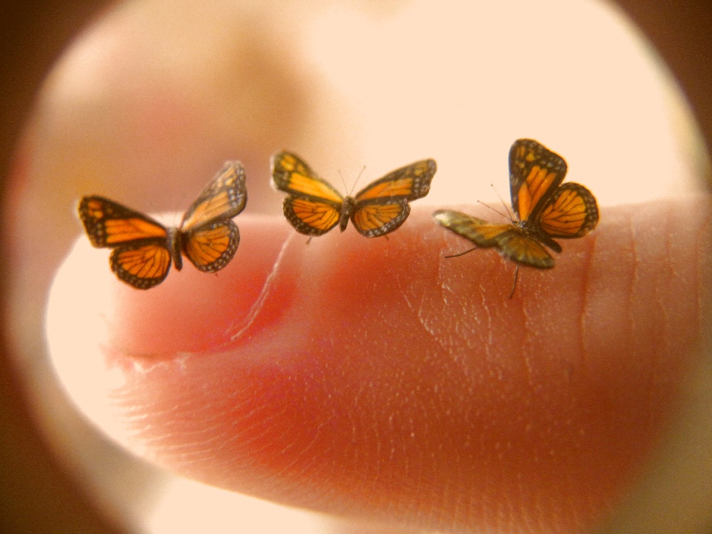 3 Still-Life Monarch Butterflies in Dollhouse Mini Scale - 1/4" Wingspans