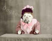 The Missis, 8 x 10 Reprint of Vintage Photograph of English Bulldog in Victorian Dress