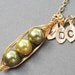 Two Or Three Peas In A Pod Shades Of Green Personalized Necklace