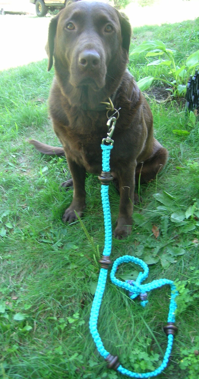 Dog Leash      Walk the Dog with style