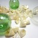 Nautical Decor Seashells - Beach Decor Pong Shells for Crafts or Weddings - 3oz bag, Ivory