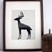 Winter Deer Illustration: Antler Animals Series - Free US Shipping