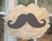 Mustache pom pom kit moustache baby shower first birthday party decoration Il_170x135