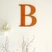 Poppy orange wooden wall letter B - wedding - nursery - home decoration