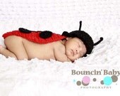 Lady Bug Costume/Critter Cape/Body Hat