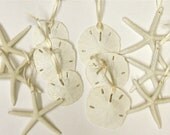 Beach Ornaments - 12 Starfish and Sand Dollar Christmas Ornaments