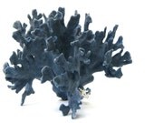 Beach Decor - Natural Blue Coral