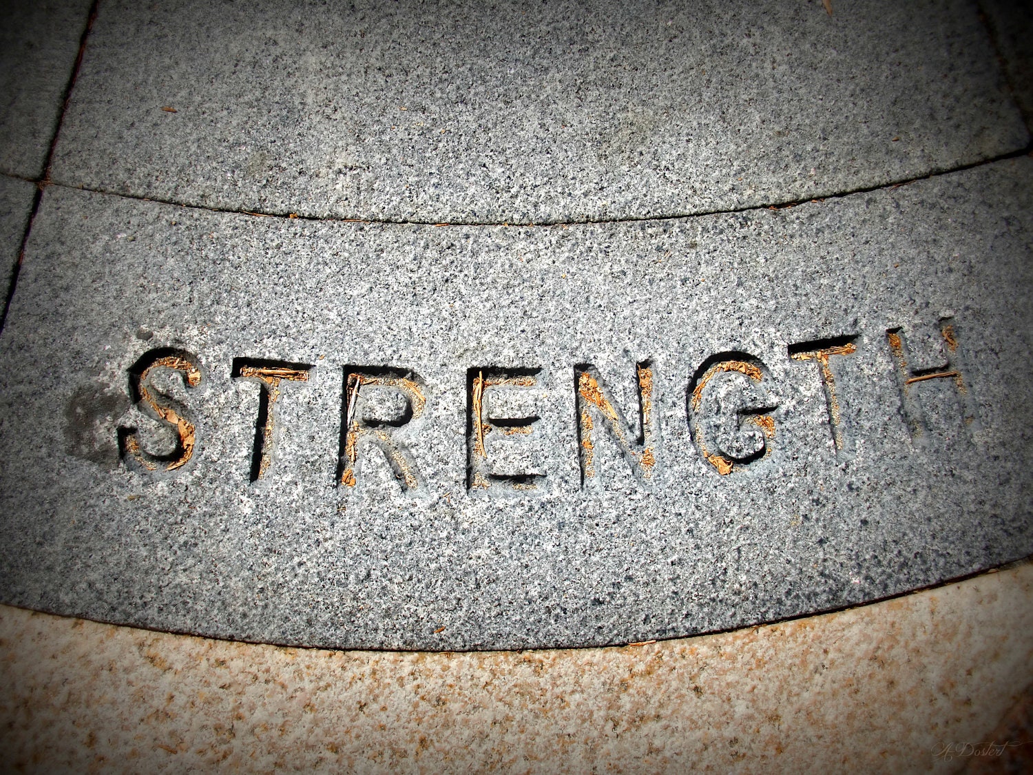 Photography Print 6x8 Stone Strength