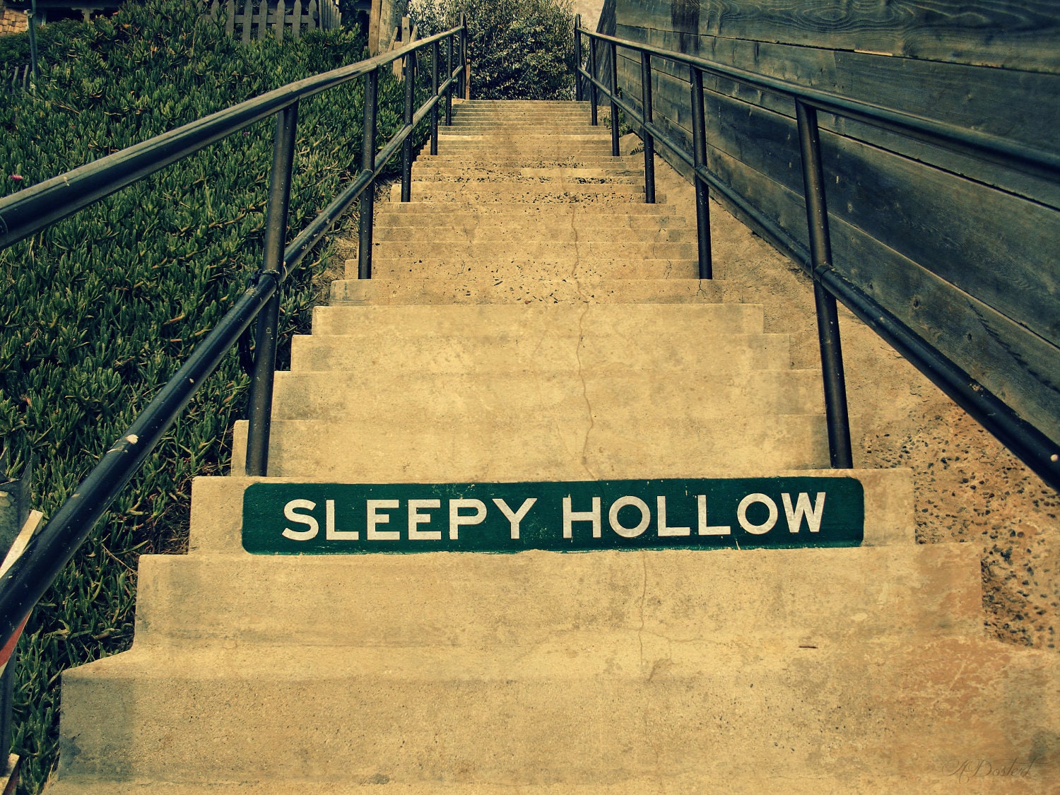 Photography Print 8x10 Sleepy Hollow