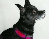 Pet Portraiture by Denyer Designs on Buddyschild