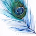 30% Off SALE - Large Wall Art - Wall Decor - Watercolor - Peacock Feather I - Large 16x20 Print - Poster - Modern Contemporary Art