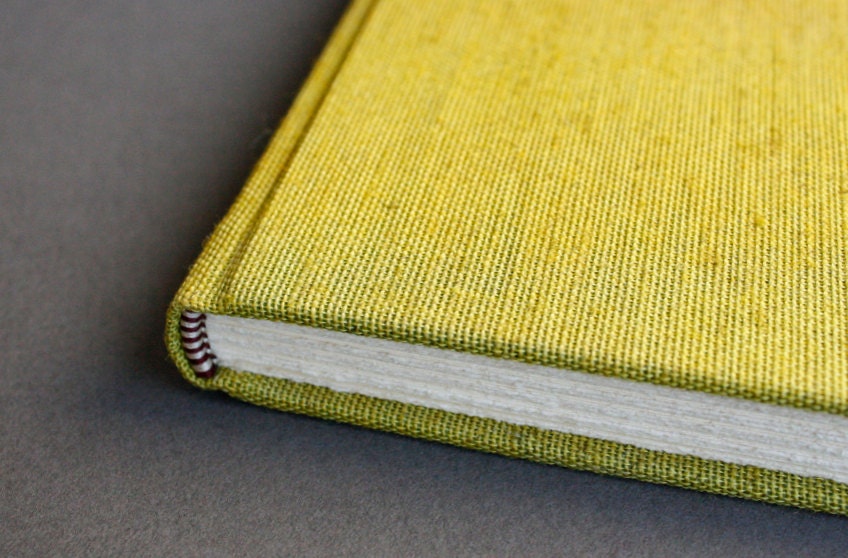 Echinacea paradoxa - handbound sketchbook / journal