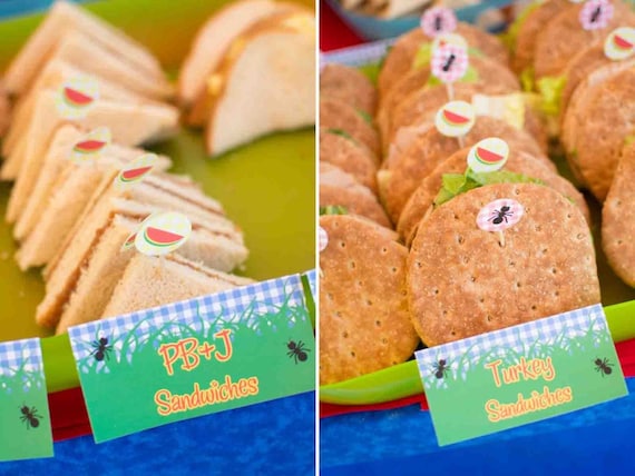 TOOTHPICK, Picnic (Watermelon) - Ready Made Il_570xn