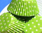 Lime Polka Dot Cupcake Liners (50)
