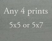 SALE Any Four 5x5 or 5x7 Prints