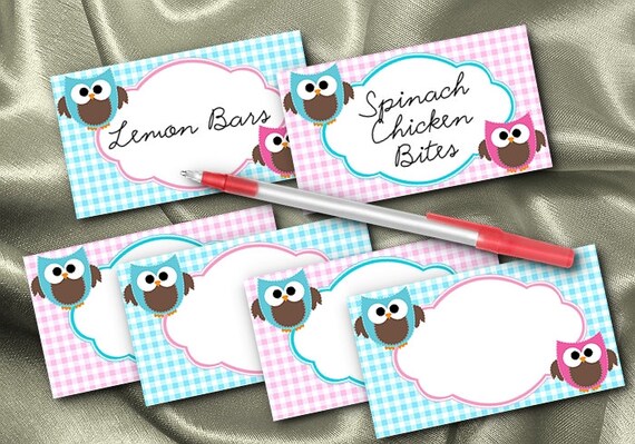 10 Blank Table Cards, Place Cards, Food Label Cards, Baby Gender Reveal Party, Pink, Blue, Owls Il_570xn