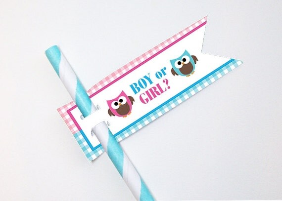 Straw Flags, Sucker Tags, Cake Pop Tags, Baby Gender Reveal Party, Baby Shower, Owls Il_570xn