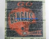 Vintage Cincinnati Bengal decal
