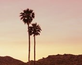 Southwest Landscape Photography Desert Palm Trees Modern Desert Landscape Two Palms at Sunset
