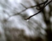 Water Drop