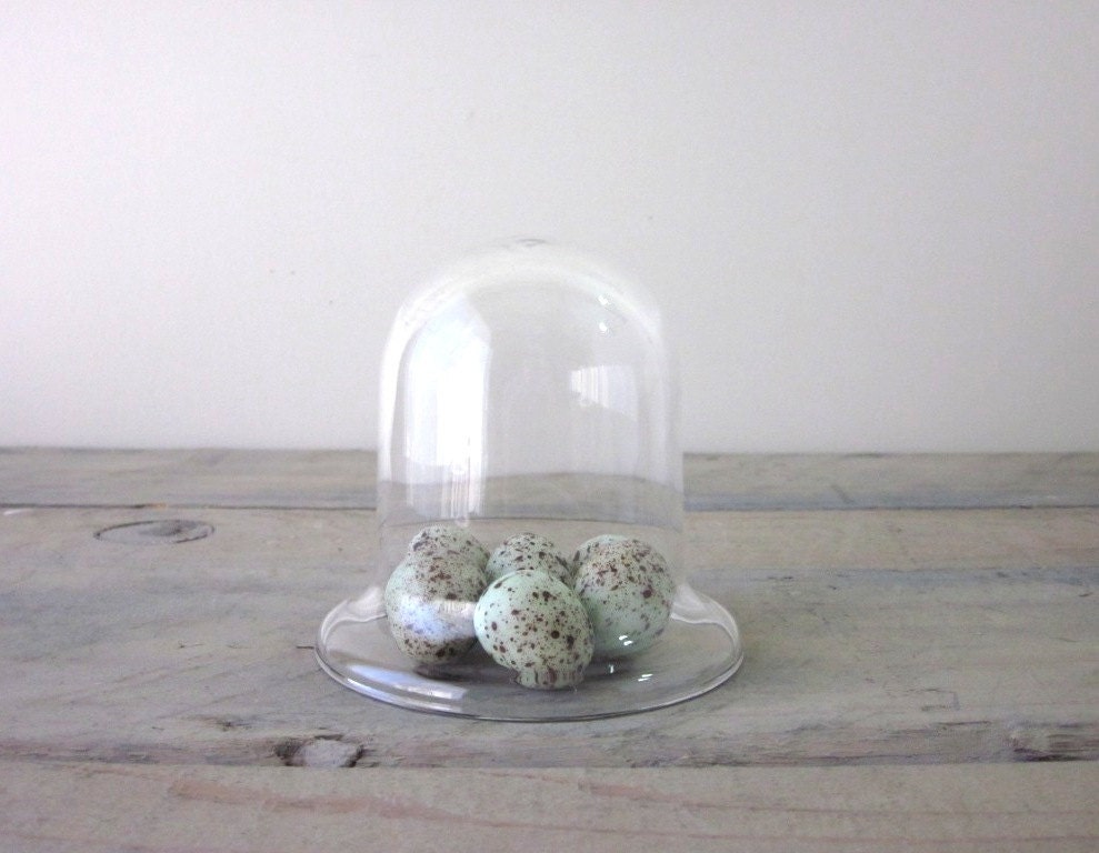 Small Vintage Glass Cloche Bell Jar Dome