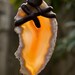 Driftwood Mobile Sun Catcher Kinetic Art Wood Sculpture