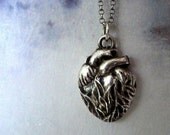 Anatomical Heart Necklace. Antiqued Fine Silver Anatomical Heart on Sterling Silver Chain