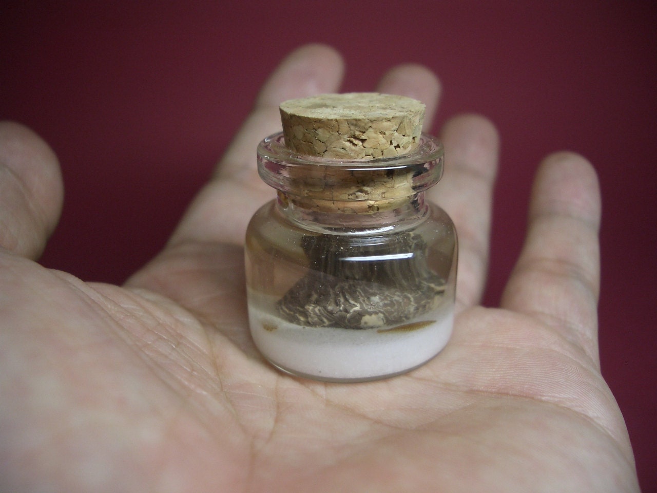 Bastard halibuts are bottom of the sea in a tiny bottle
