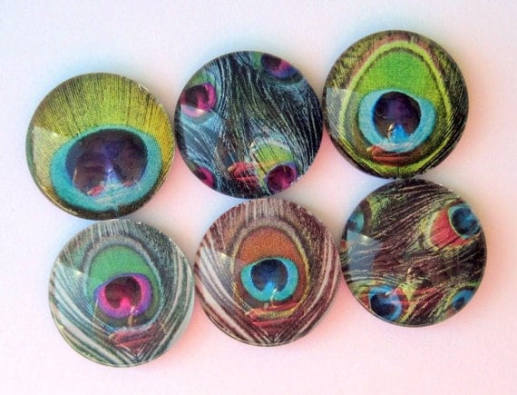 Peacock Feather Magnets - Set of Six Glass Magnets - 1 Inch Domed Glass Circles