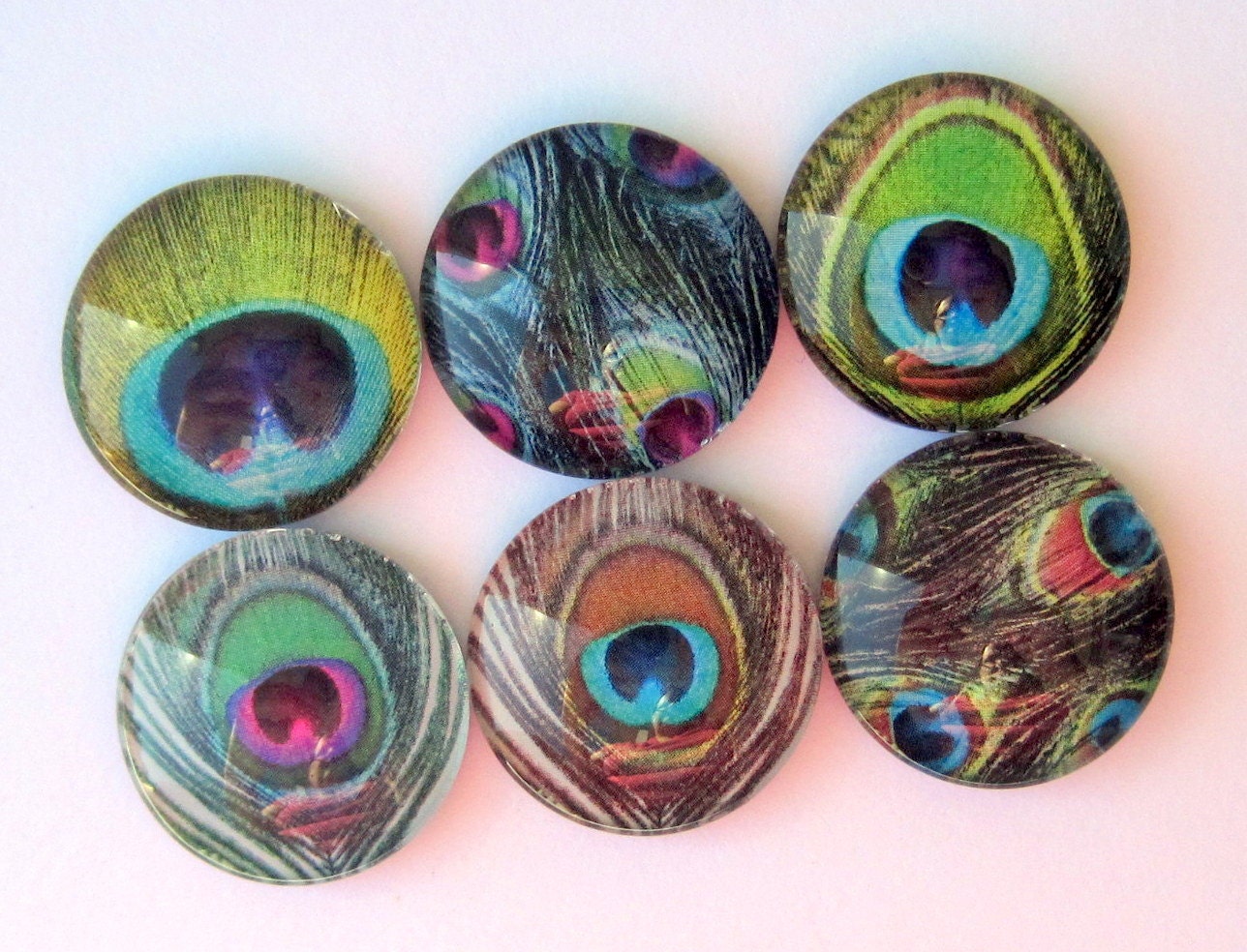 Peacock Feather Magnets - Set of Six Glass Magnets - 1 Inch Domed Glass Circles