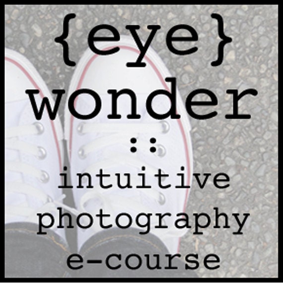photography e-course   (eye) wonder : intuitive photography for everyday people