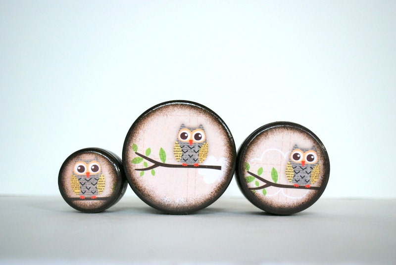Little Owl Box Set - Set of 3 - Mmim
