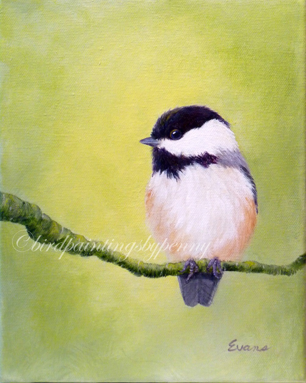 Chickadee Painting X Original Bird Painting