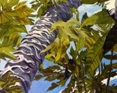 Papaya In The Sky Fine Art Oil Landscape Painting