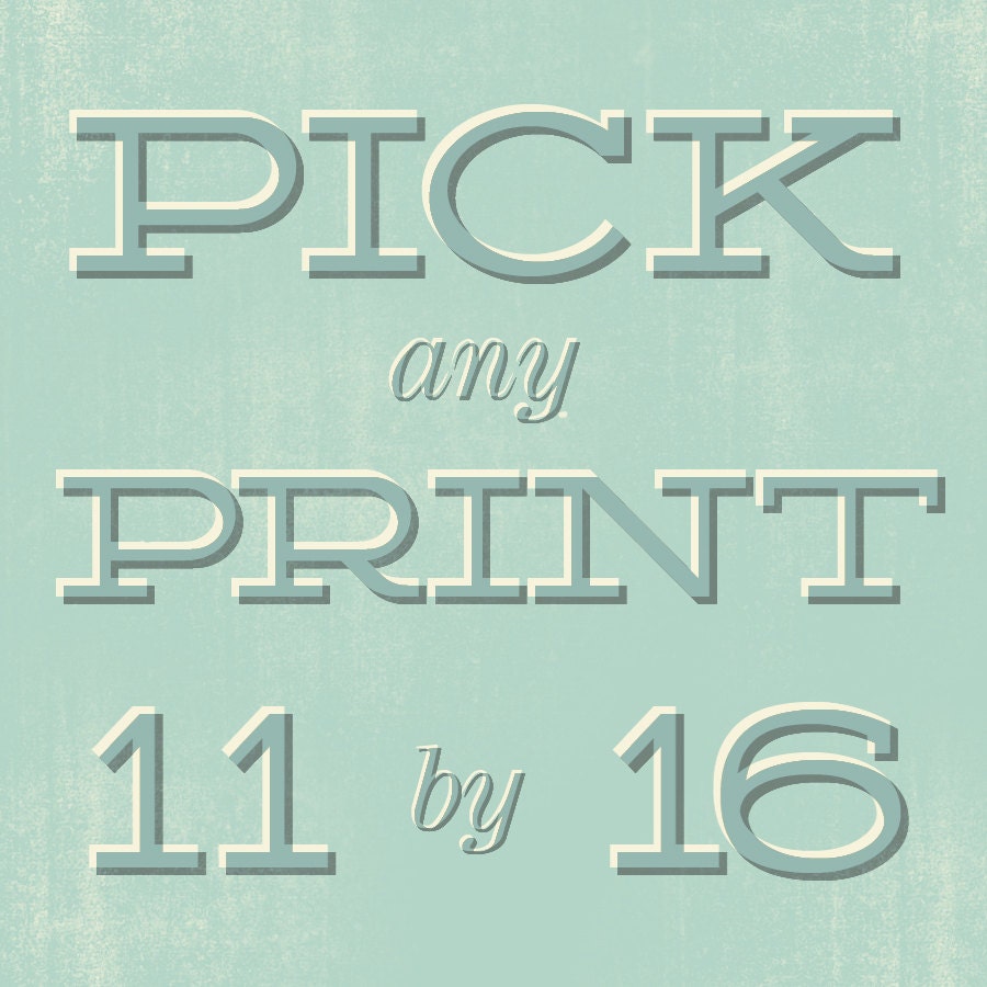 Pick any Print in 11 by 16 size