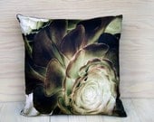 Modern Throw Pillow,  handmade decorative home decor, organic cotton,  photograph of a succulent plant