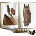 Antique Birds of America Book Color Plates Eggs Owls Eagles