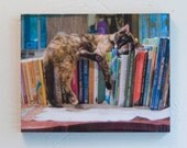 Kelly in the Cat Library, 8x10 Wood Mount Print