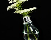 Bright Ideas Lightbulb Bud Vases