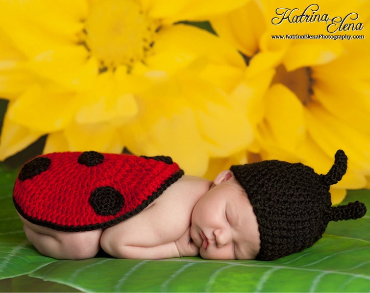 Baby Ladybug Photo Prop