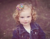 Grace Clips - Shabby Flower Hair clips in a Rainbow Blend
