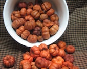 Putka Pods (orange, mini pumpkins, Halloween, Fall, Autumn, harvest, Thanksgiving,  Mabon, Samhain) - indigomoonherbals