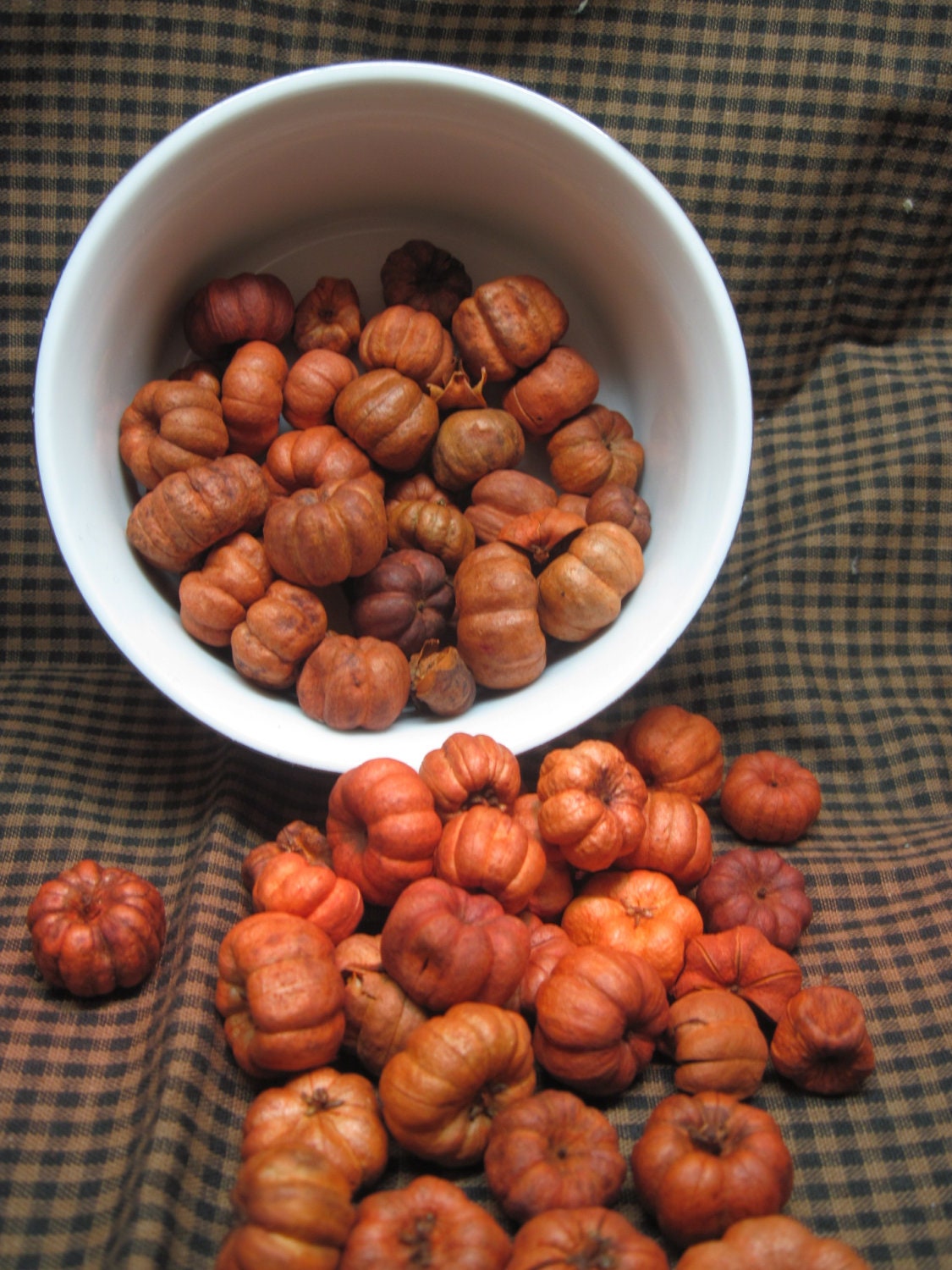 Putka Pods (orange, mini pumpkins, Halloween, Fall, Autumn, harvest, Thanksgiving,  Mabon, Samhain)