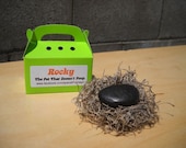 Pet rock - Rocky - the pet that doesn't poop - gag gift