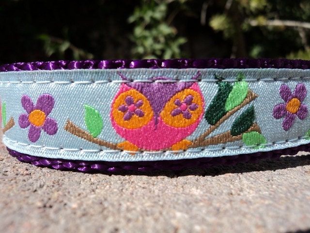 Sale Dog Collar - Country Owls - Small or Medium img