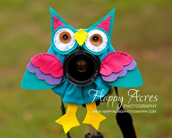 Lens Bling - Pet Blue Pink Owl