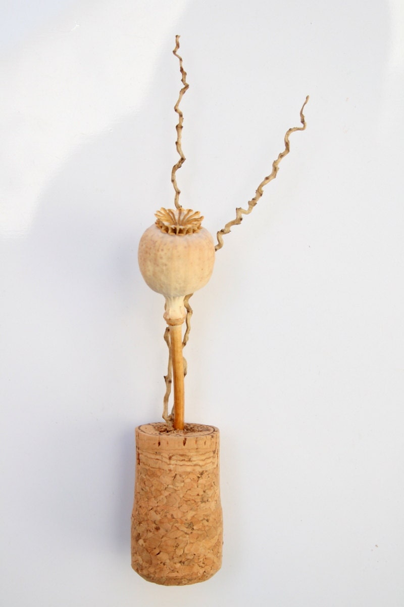 Champagne Poppy Pod