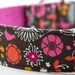 Floral Fields Dog Collar